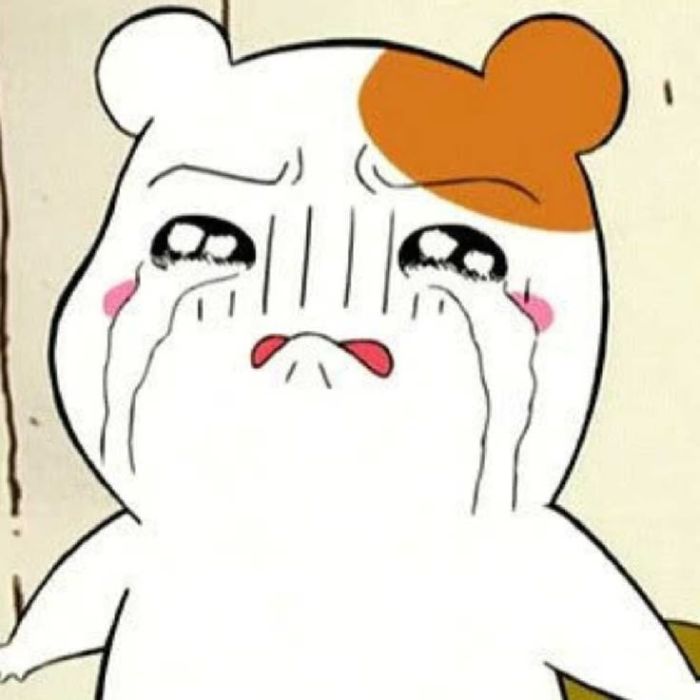 meme crying hoạt hình