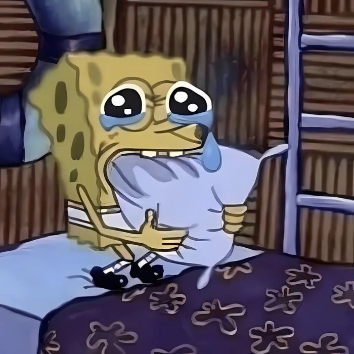 meme crying