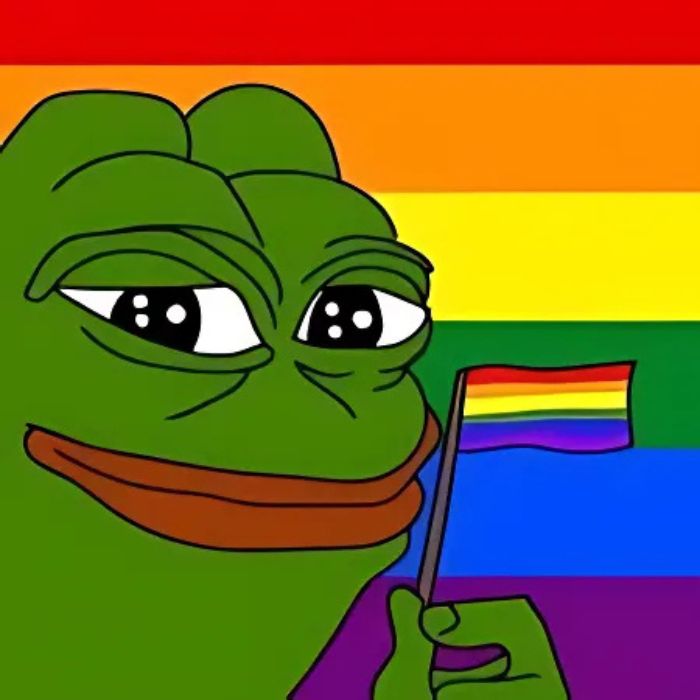 meme frog hài bựa
