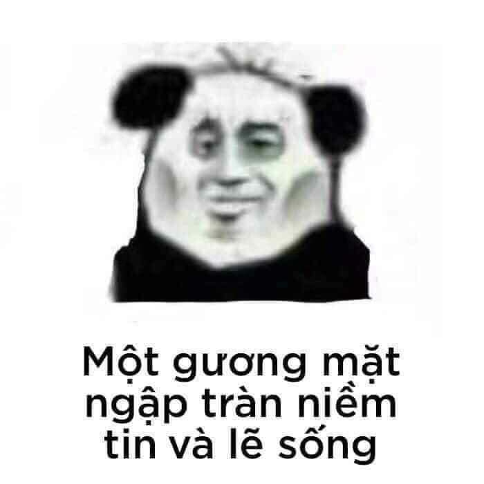 meme gấu trúc chế bựa