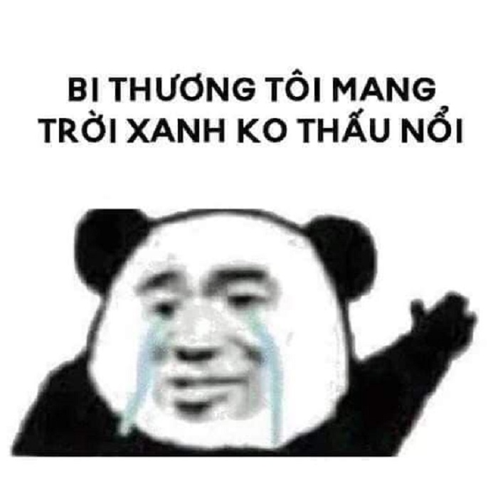 meme gấu trúc cực bựa