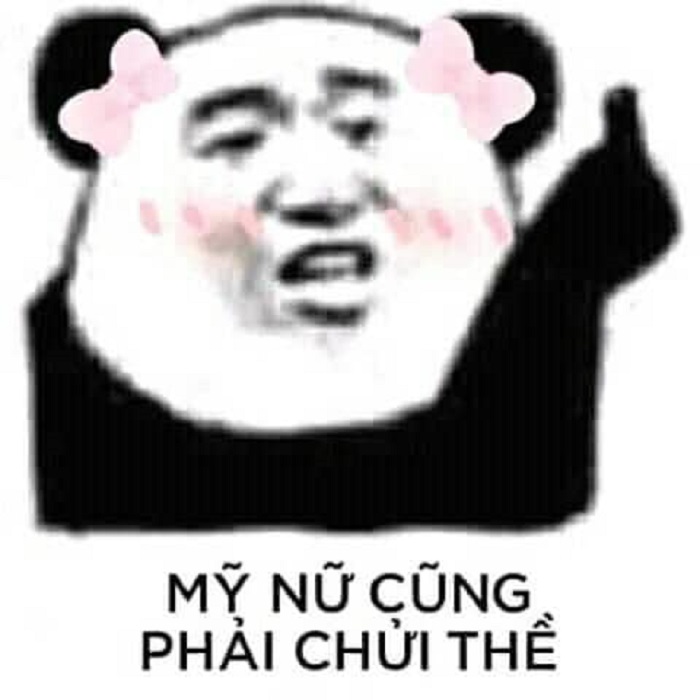 meme gấu trúc hài bựa