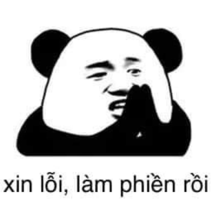 meme gấu trúc hài hước nhất