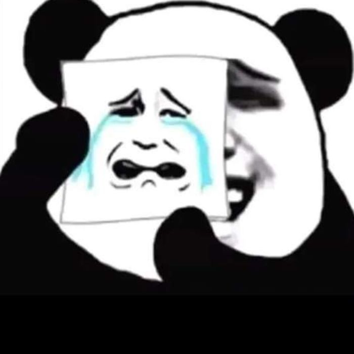 meme gấu trúc hài nhất