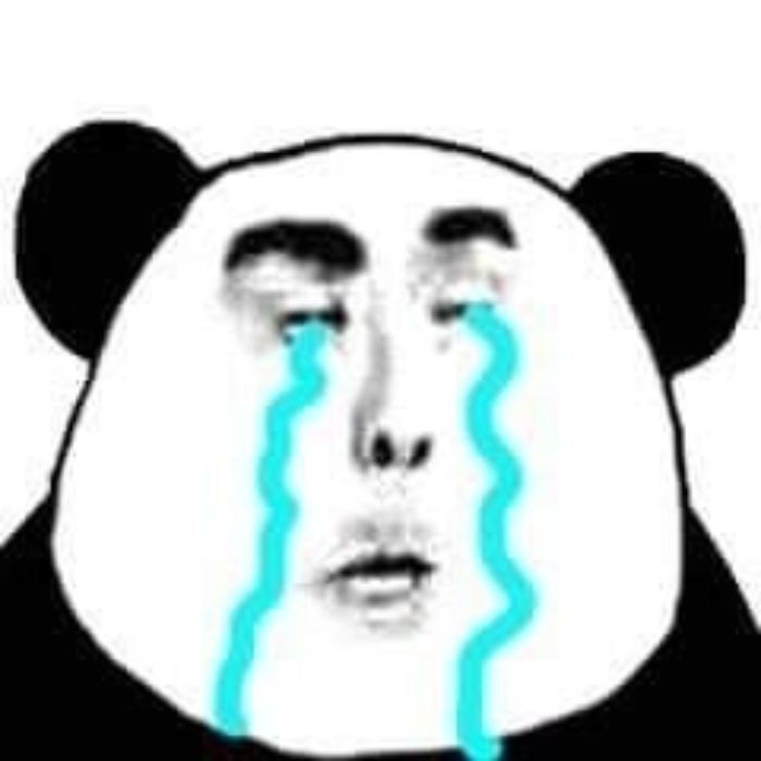 meme gấu trúc hài