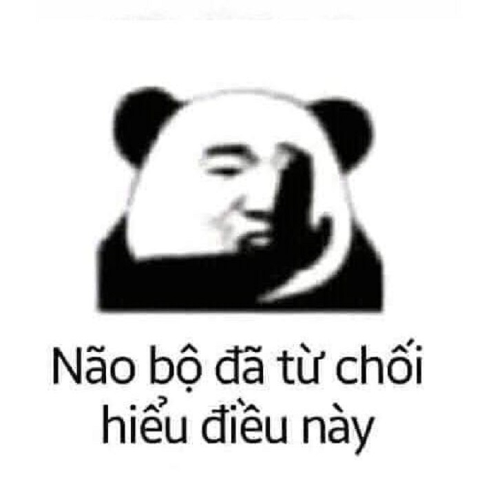 meme gấu trúc siêu bựa