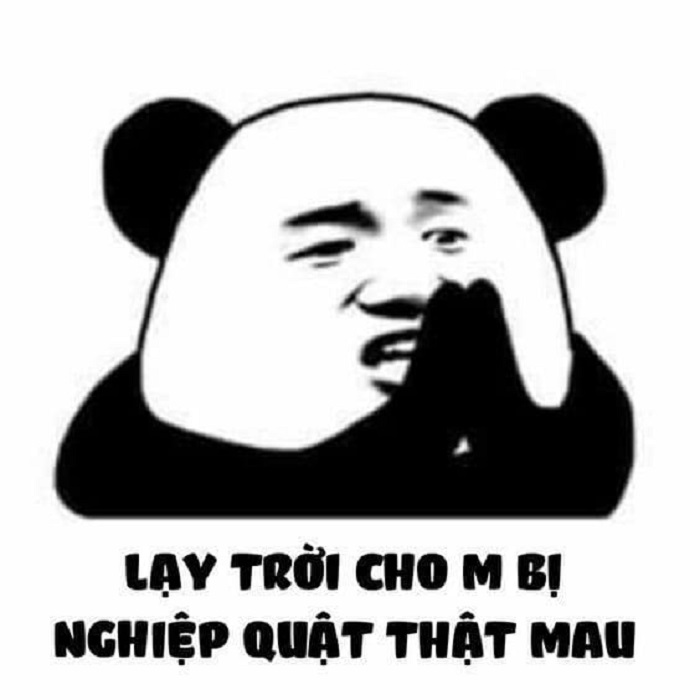 meme gấu trúc siêu hài hước