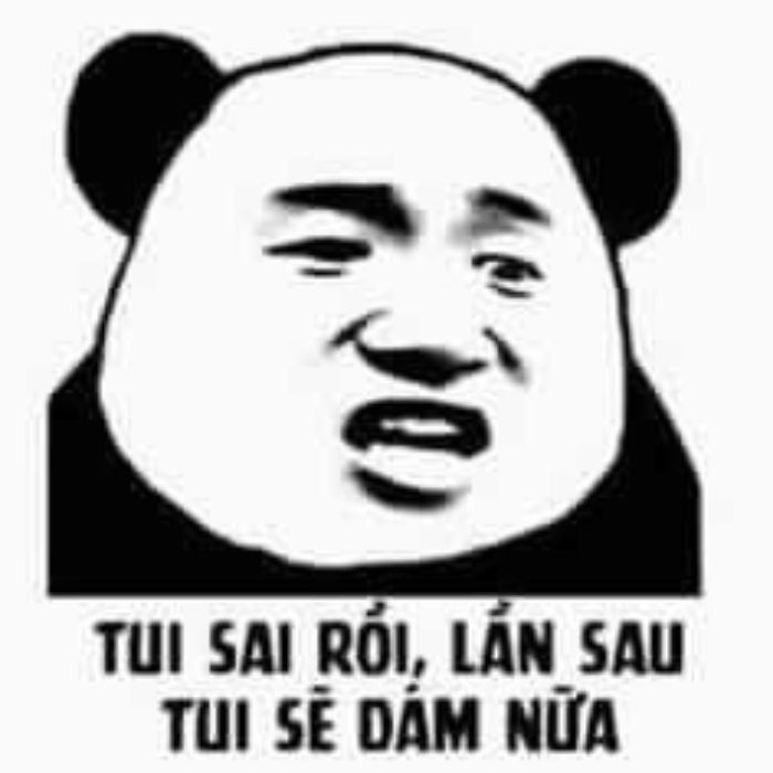 meme gấu trúc