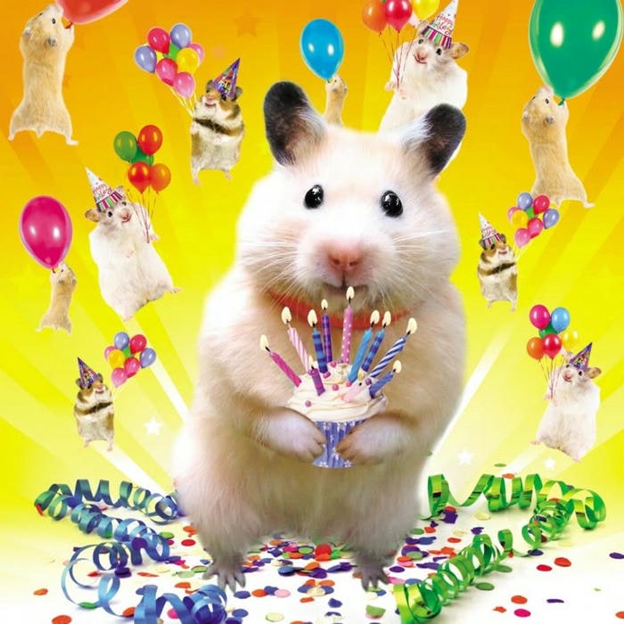 meme happy birthday siêu cute