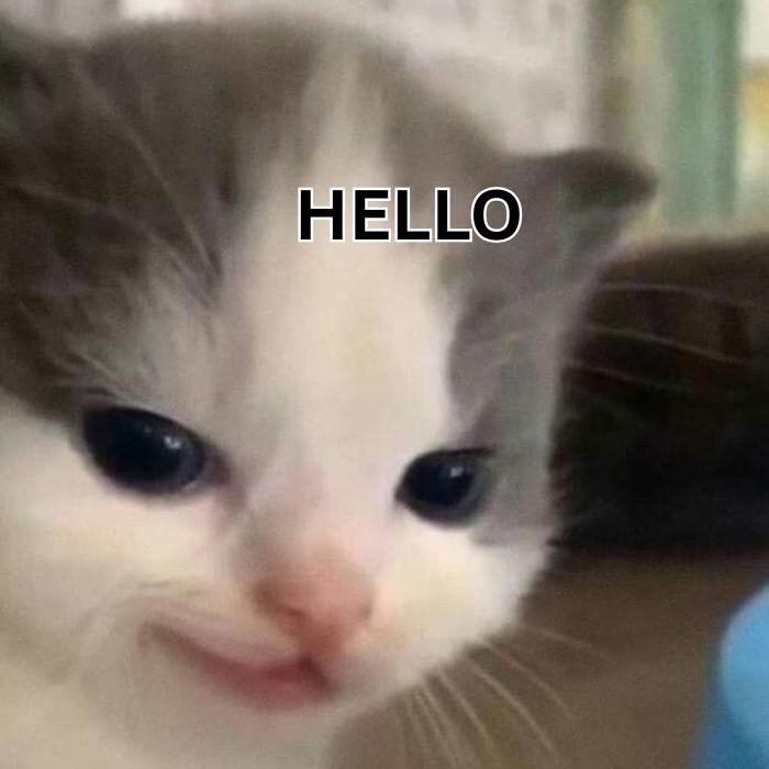 meme hello cute