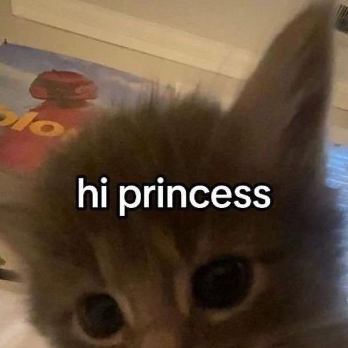 meme hello dễ thương
