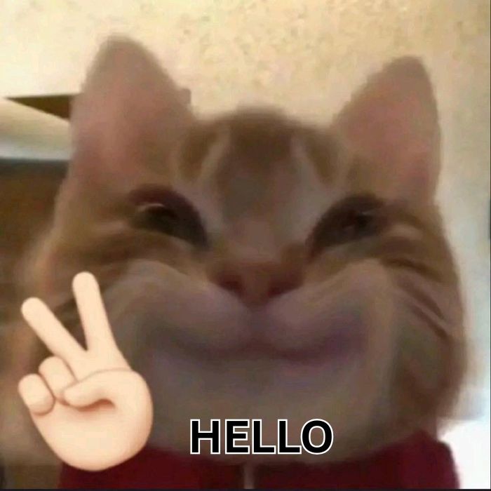 meme hello siêu dễ thương