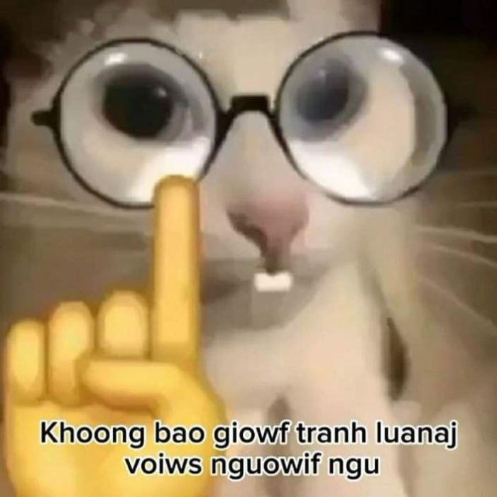 meme khinh bỉ cực bưạ