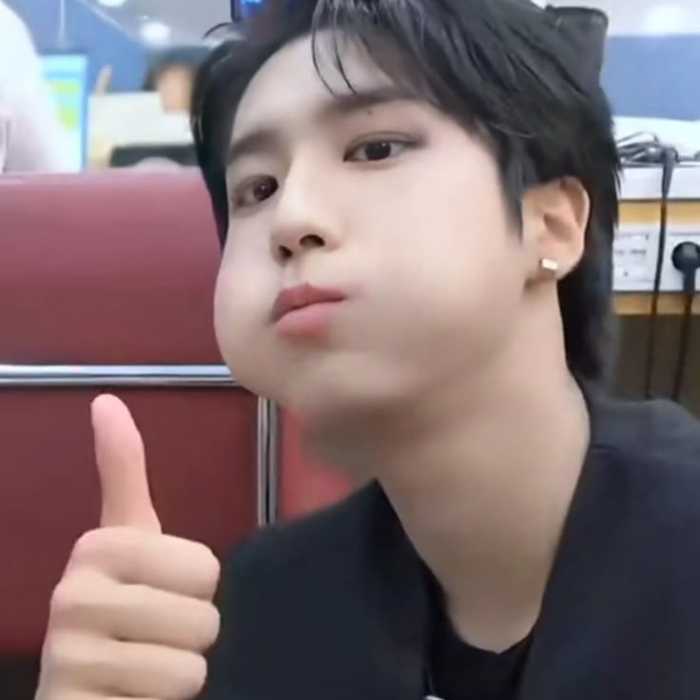 meme like idol