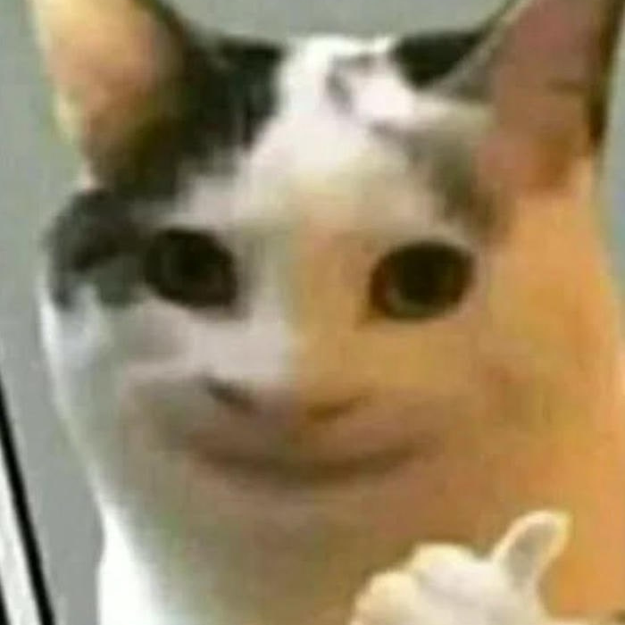 meme like mèo
