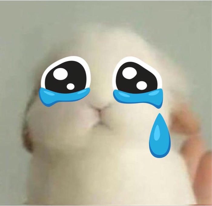 meme mèo khóc buồn nhất