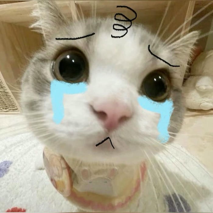 meme mèo khóc rầu rĩ