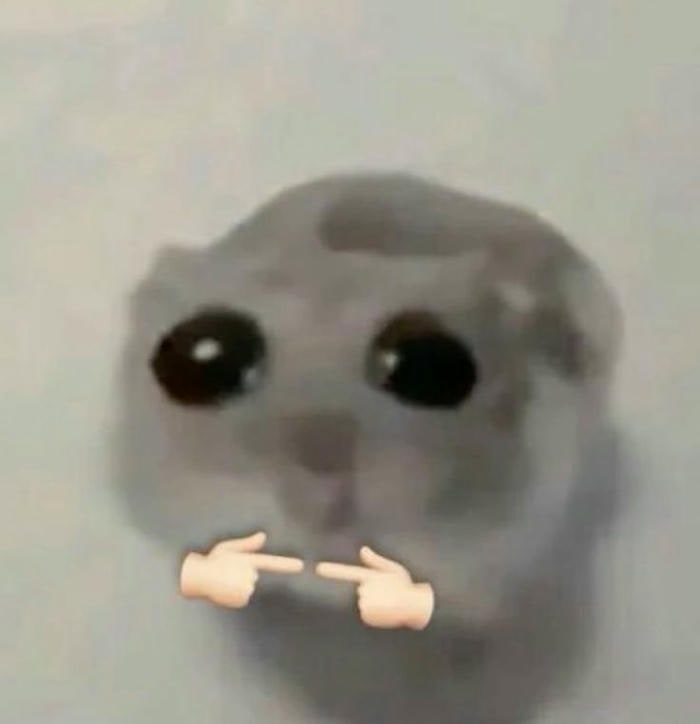 meme ngại hamster
