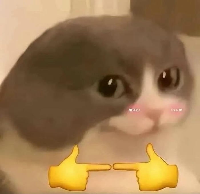 meme ngại mèo chế