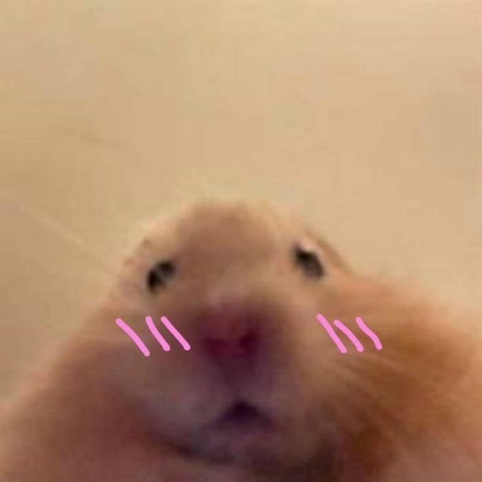 meme ngại nhất