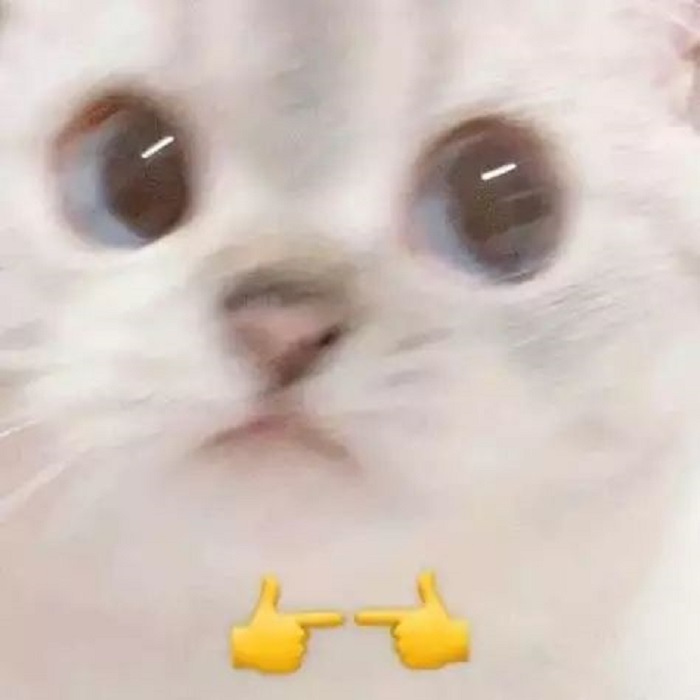 meme ngại
