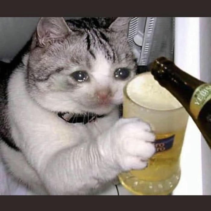 meme sad buồn xỉu