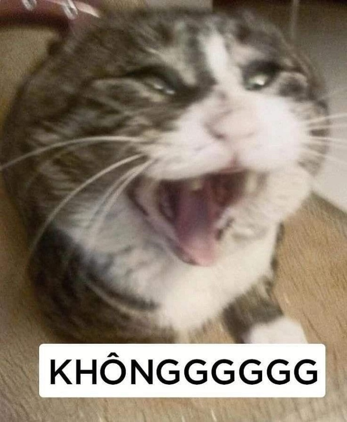 meme sad cực buồn