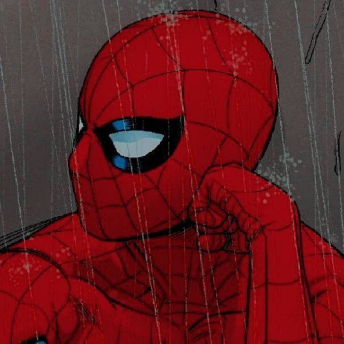meme spiderman buồn
