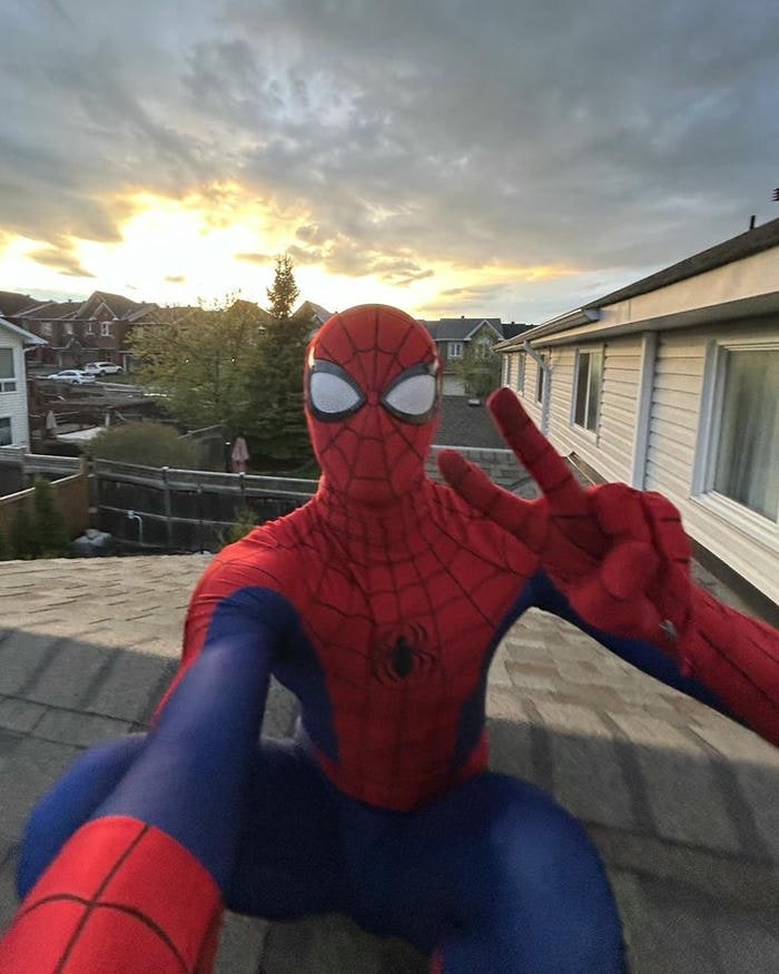 meme spiderman cực hài
