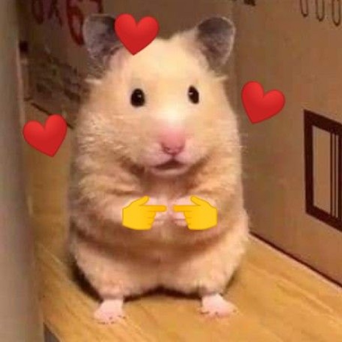 meme tình yêu cực đáng yêu