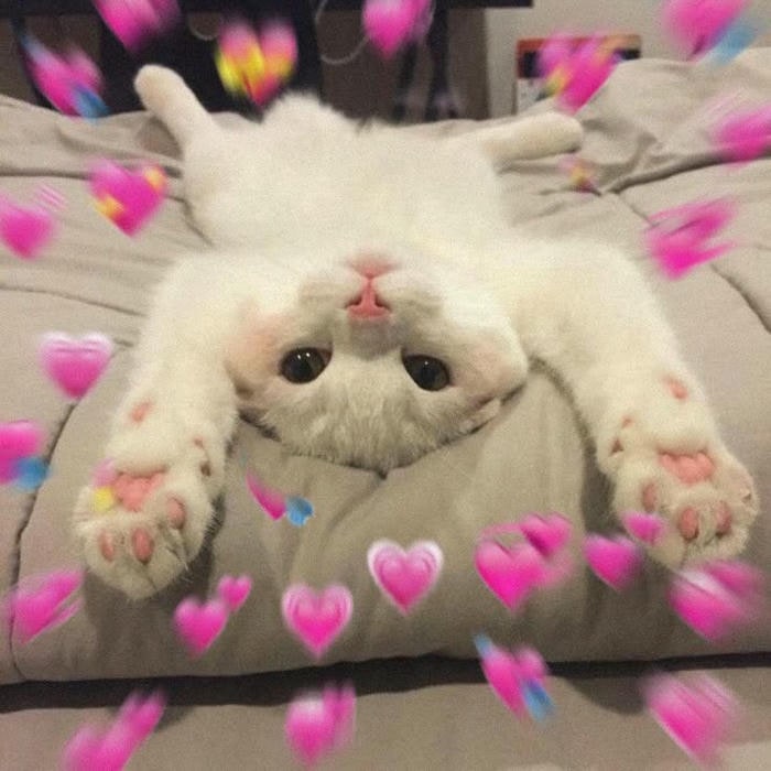 meme tình yêu cute