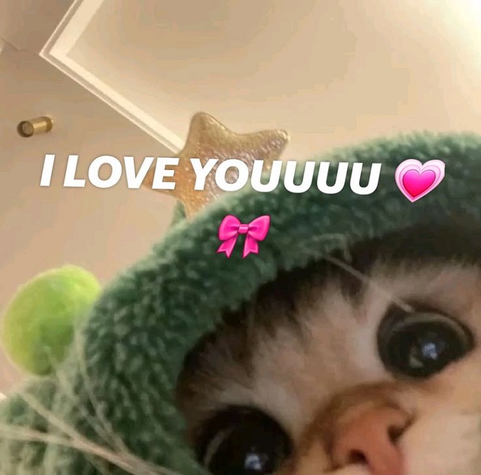 meme tình yêu đáng yêu