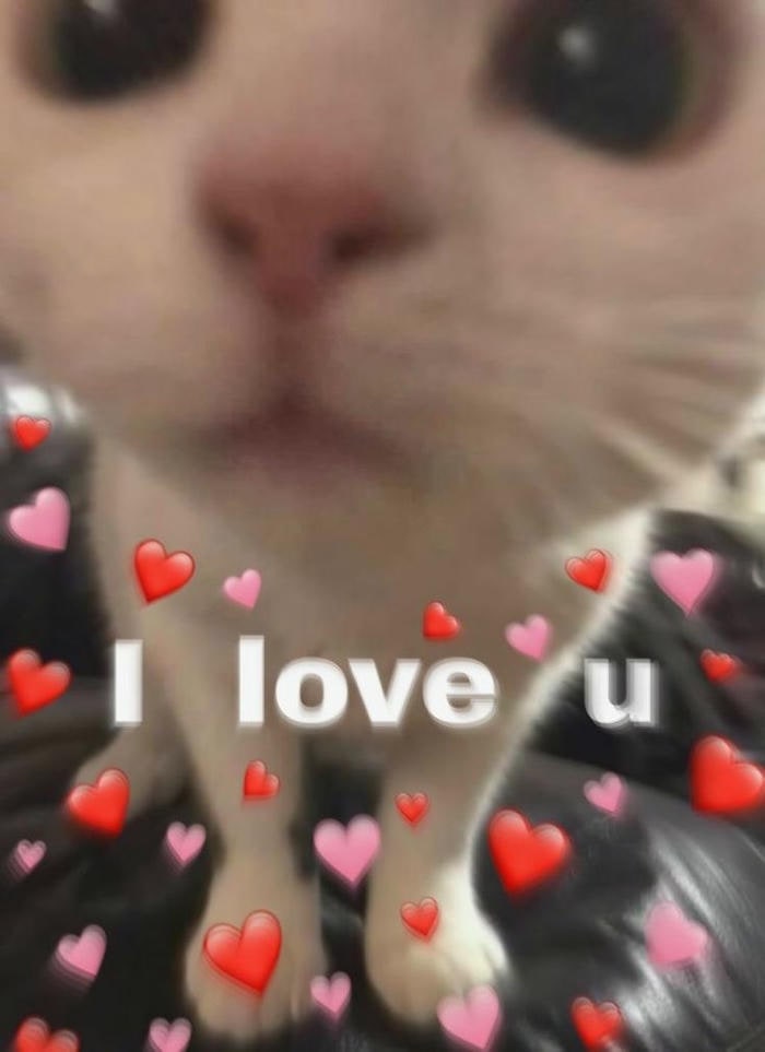 meme tình yêu dễ thương nhất