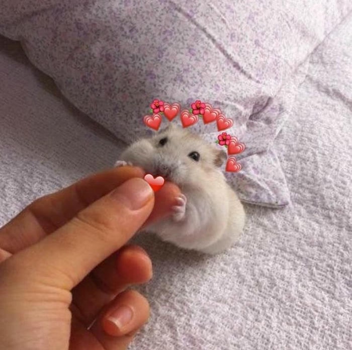 meme tình yêu siêu cute
