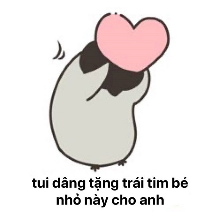 meme tình yêu siêu hài