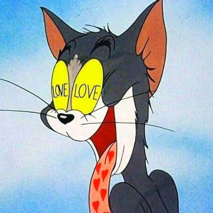 meme tom and jerry siêu bựa