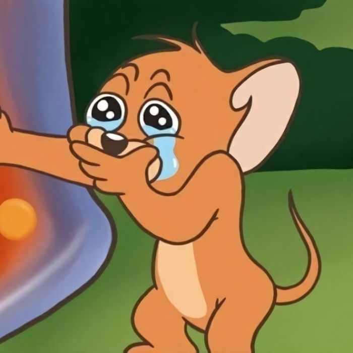 meme tom and jerry siêu hài