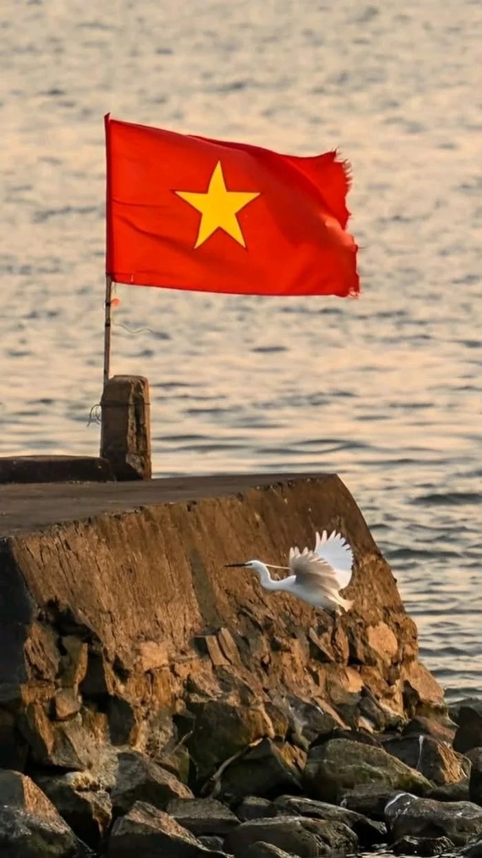 hình nền đảng cộng sản cho điện thoại