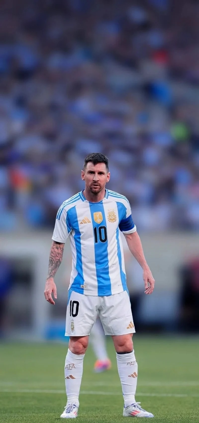 hình nền điện thoại messi argentina