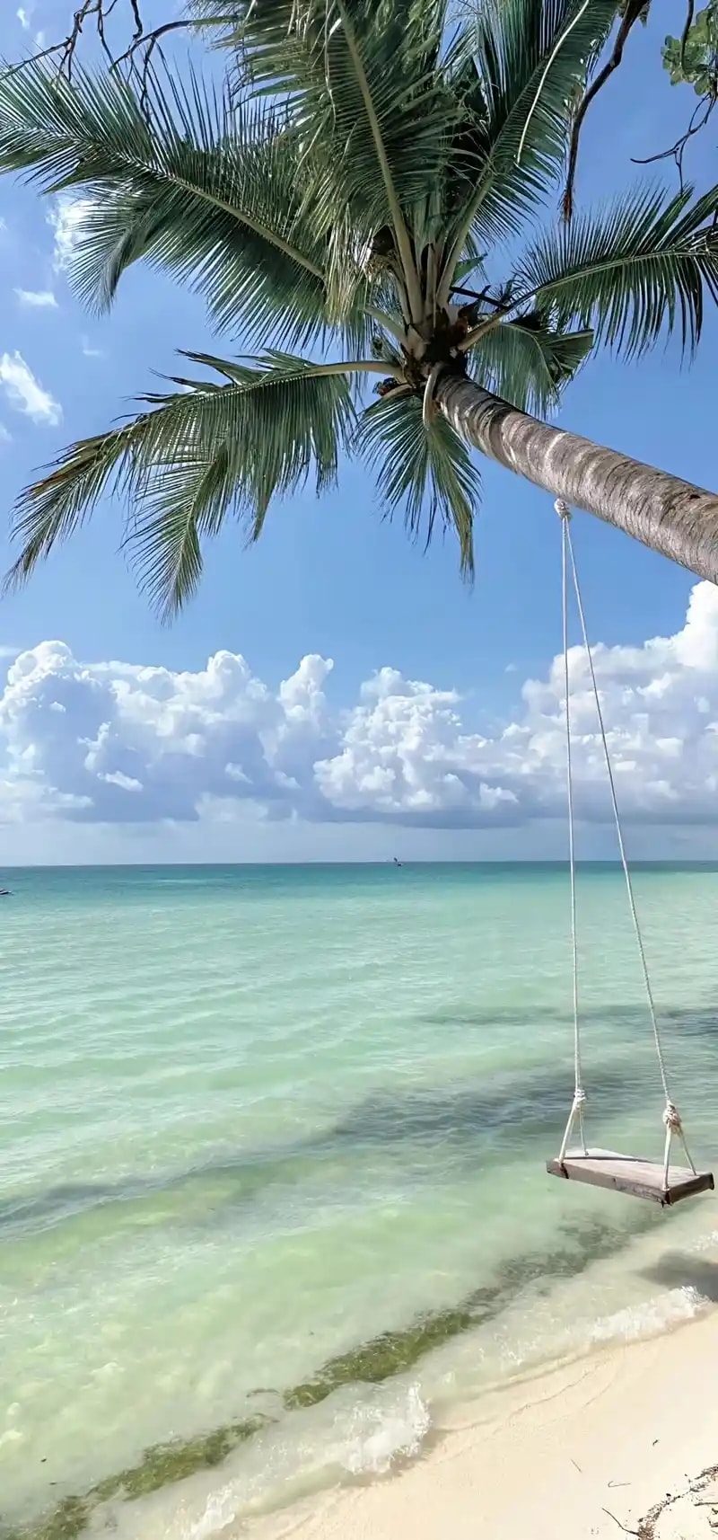 hình nền iphone 16 pro max 4k