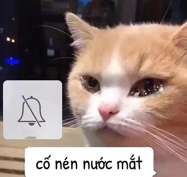 meme buồn 1