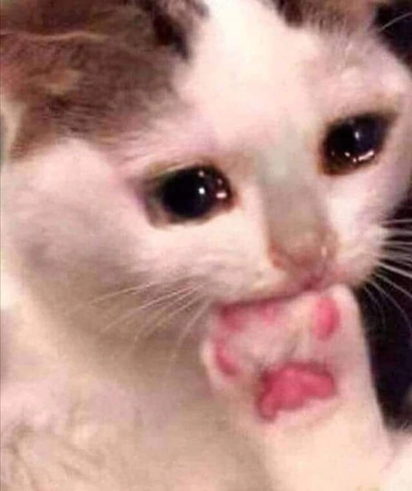 meme buồn 12