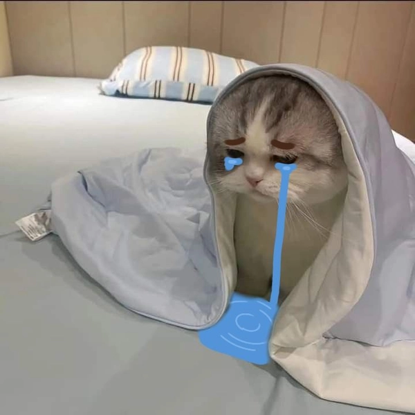 meme buồn 15