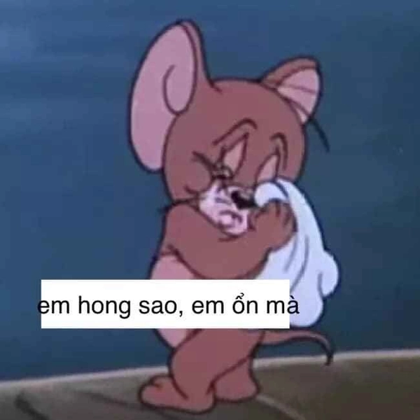 meme buồn 23