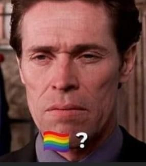 meme gay 11