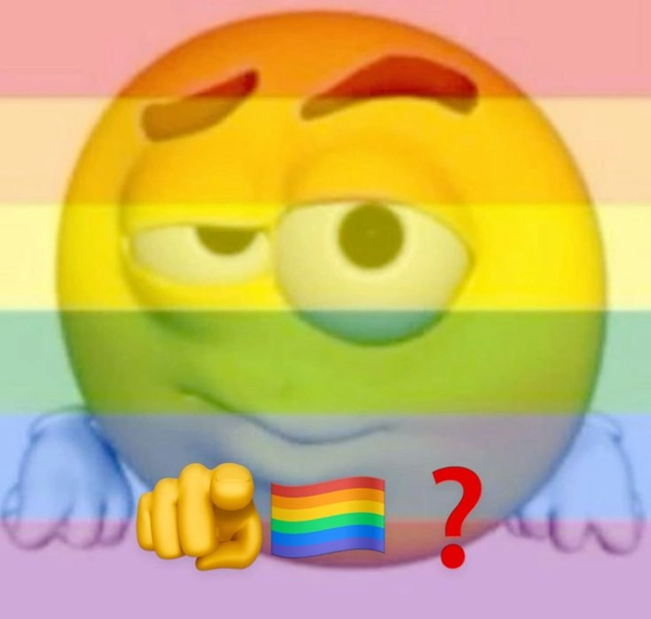 meme gay 16