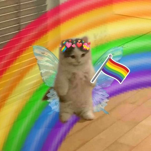 meme gay 17