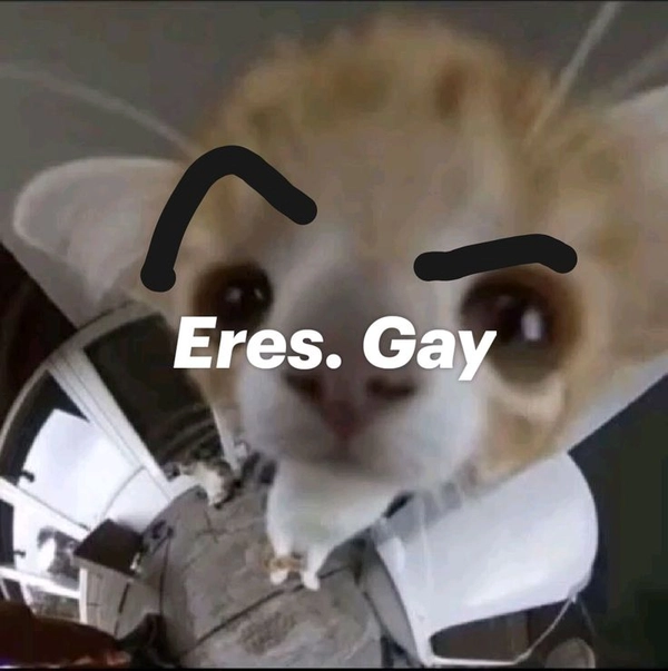 meme gay 2