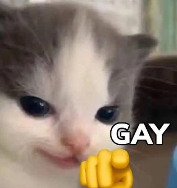 meme gay 20