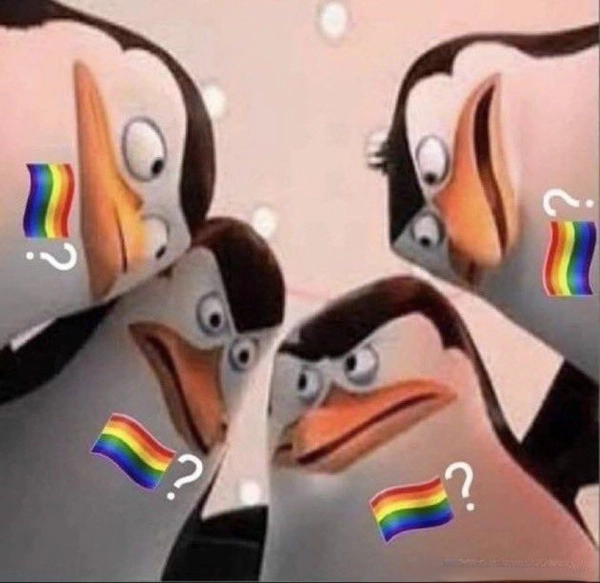 meme gay 22